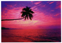 诉说成像原理-颜料墨PK染料墨打印效果